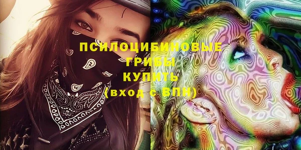 винт Алексин