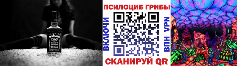 Псилоцибиновые грибы Psilocybine cubensis  что такое наркотик  Большой Камень 