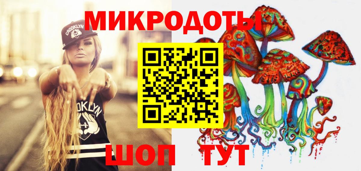 Галлюциногенные грибы MAGIC MUSHROOMS  Вход с VPN  Большой Камень 