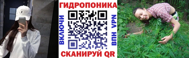 наркошоп  Большой Камень  Конопля LSD WEED 